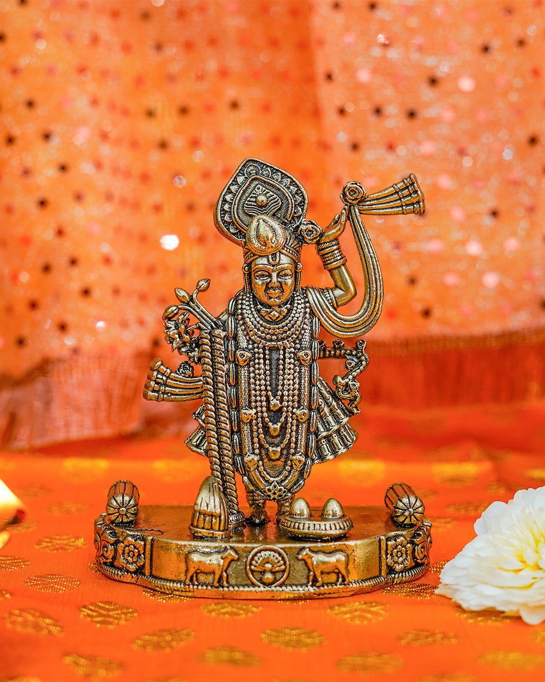 Vishnu Ji