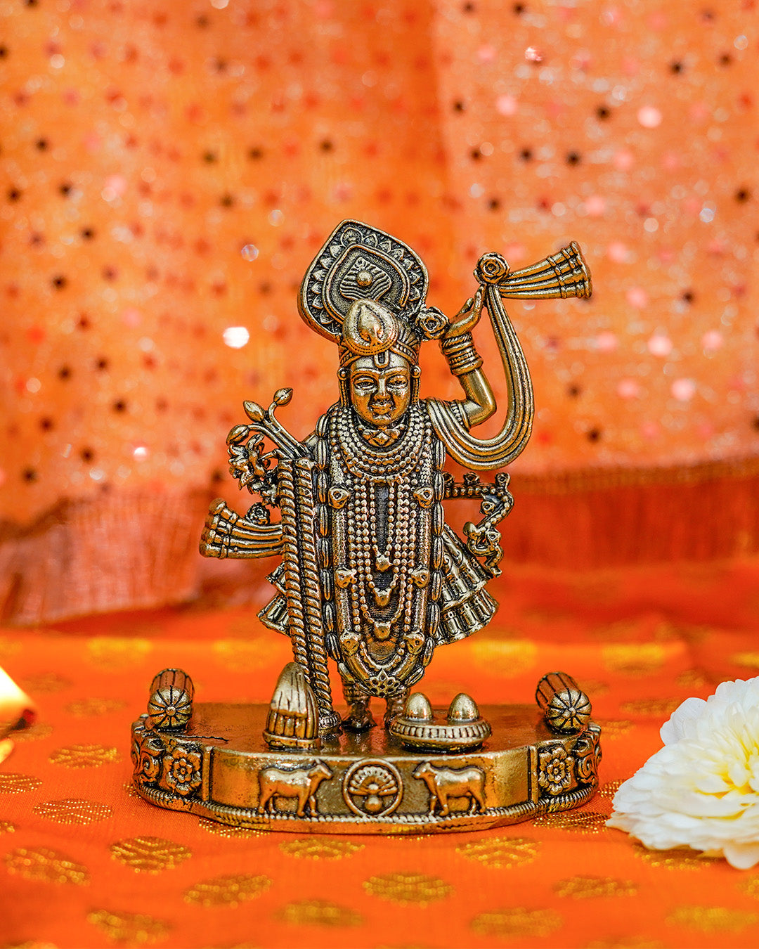 Vishnu Ji