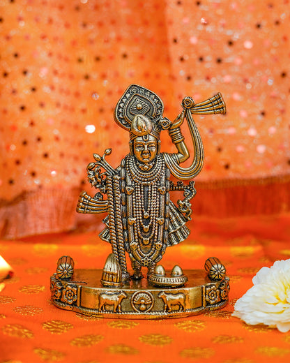 Vishnu Ji