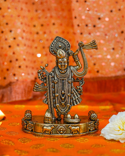 Vishnu Ji