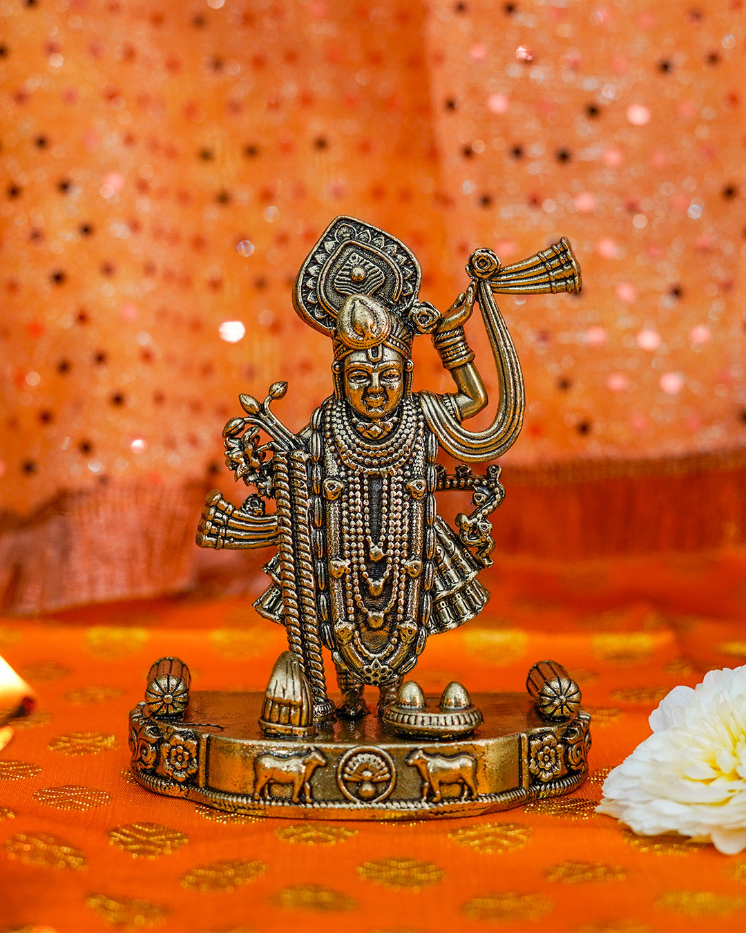 Vishnu Ji