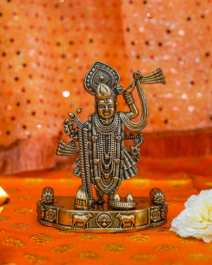 Vishnu Ji