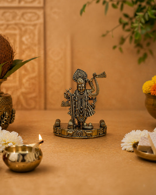 Vishnu Ji